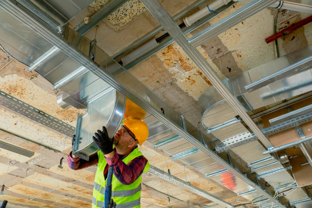 Best HVAC air duct cleaning  in Roselawn, IN